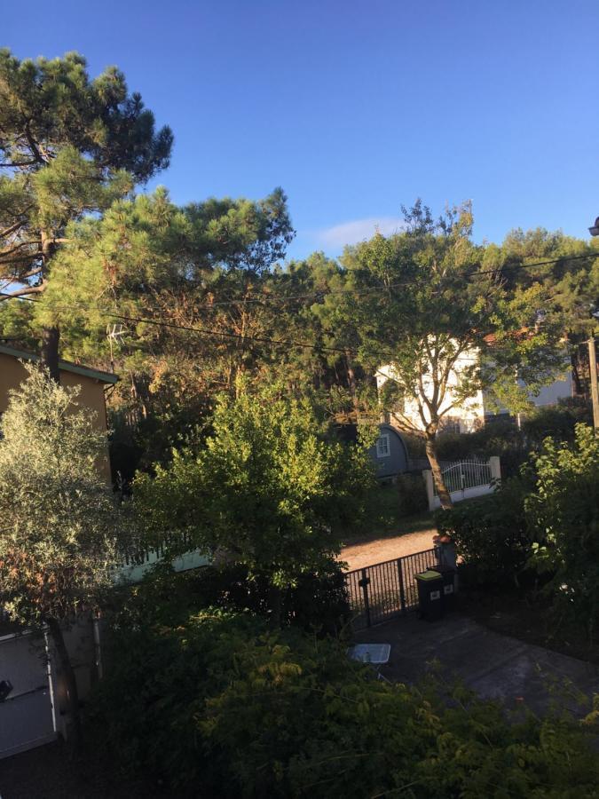 Villa L'Amiraute Agde Luaran gambar